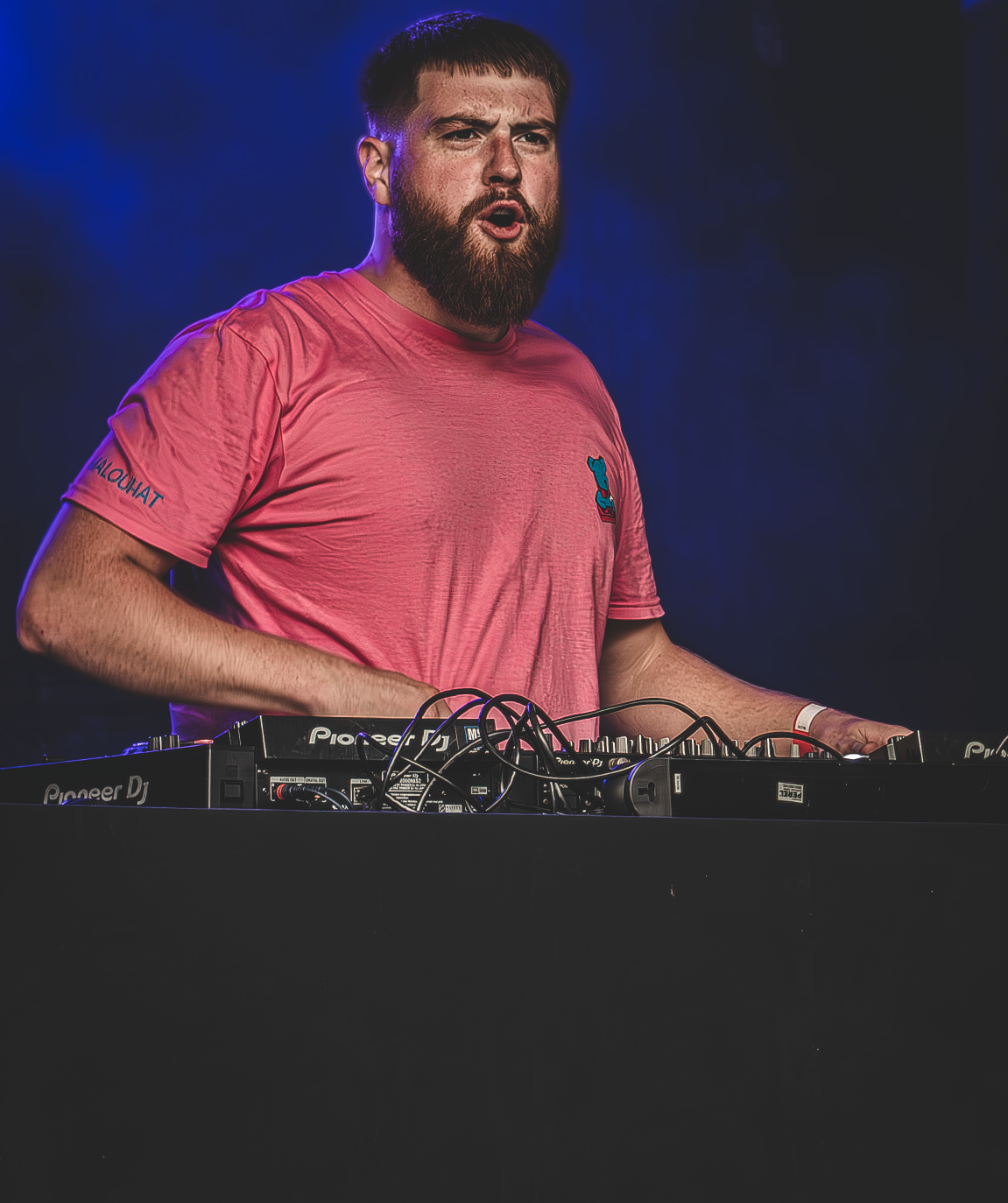 AMP festival 2025