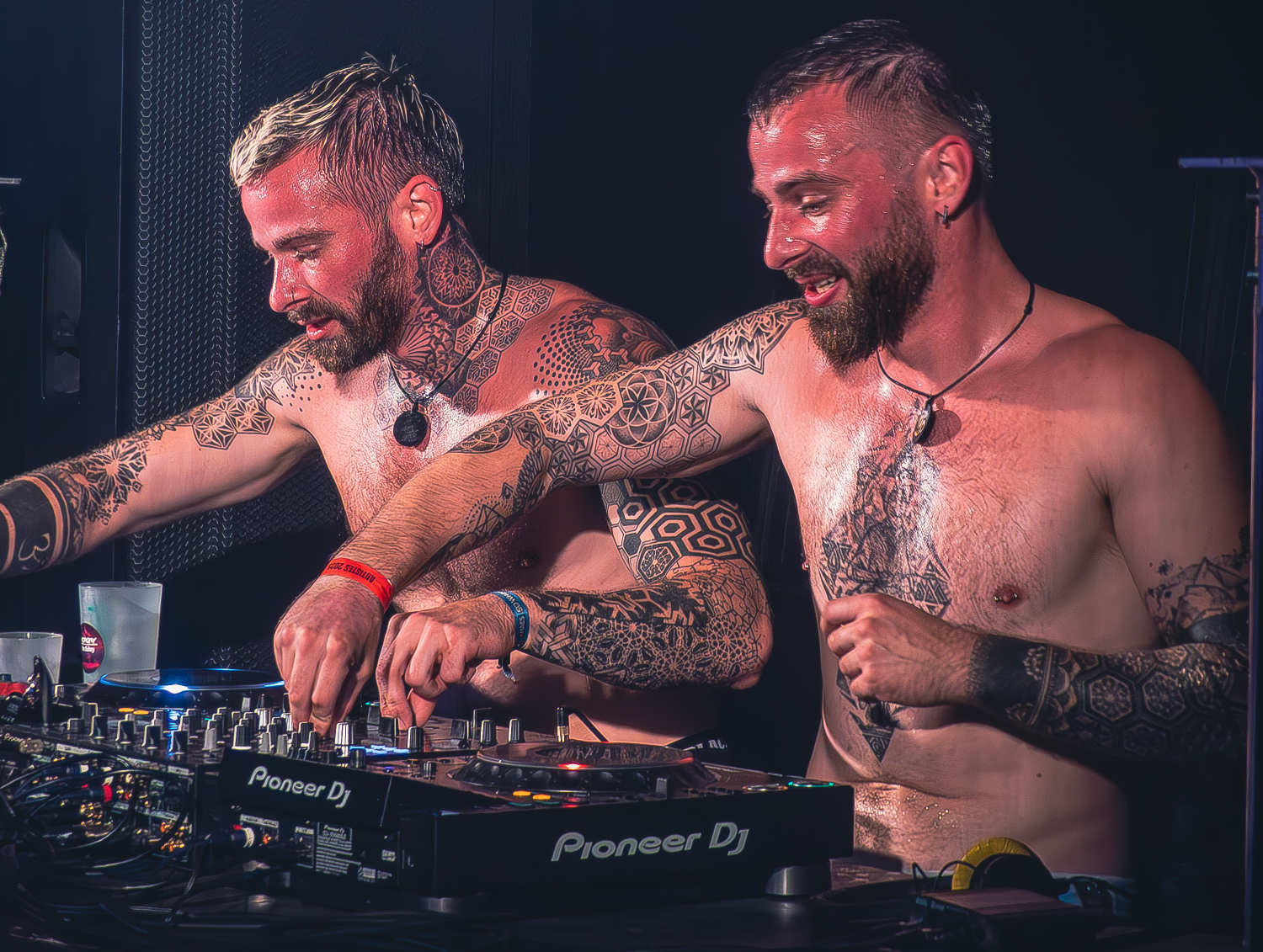 AMP festival 2025