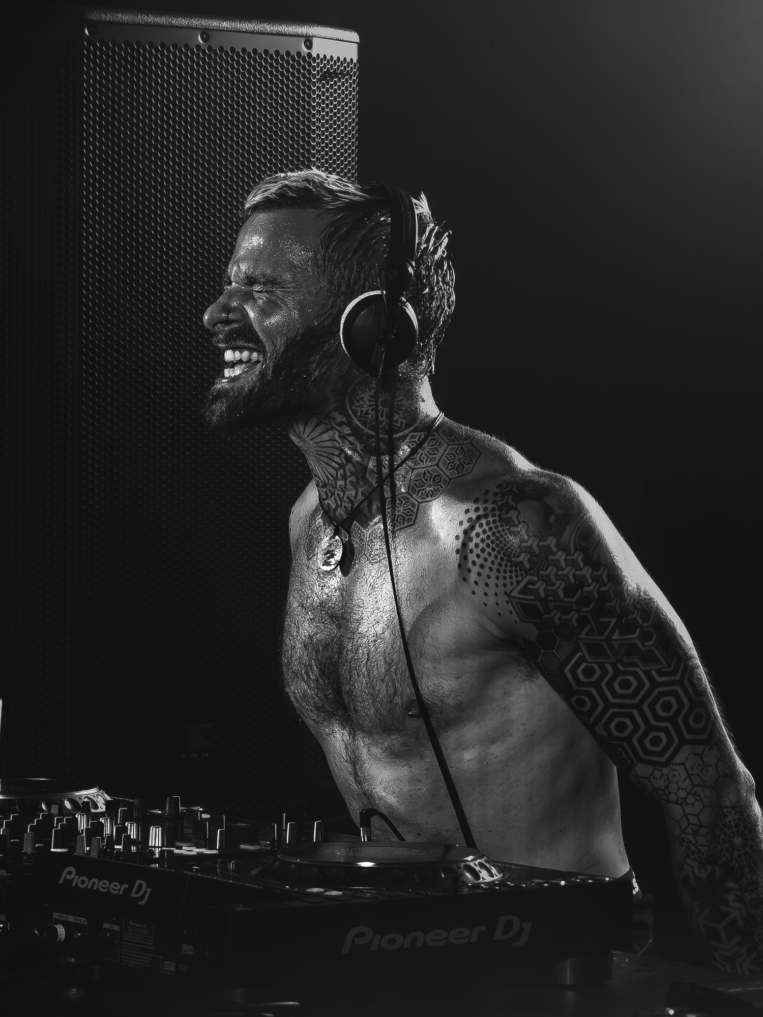AMP festival 2025