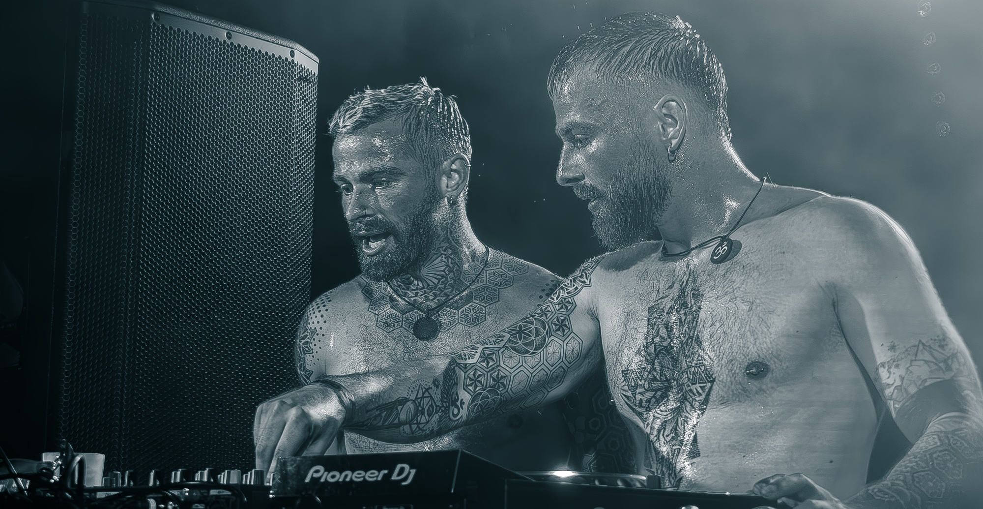 AMP festival 2025